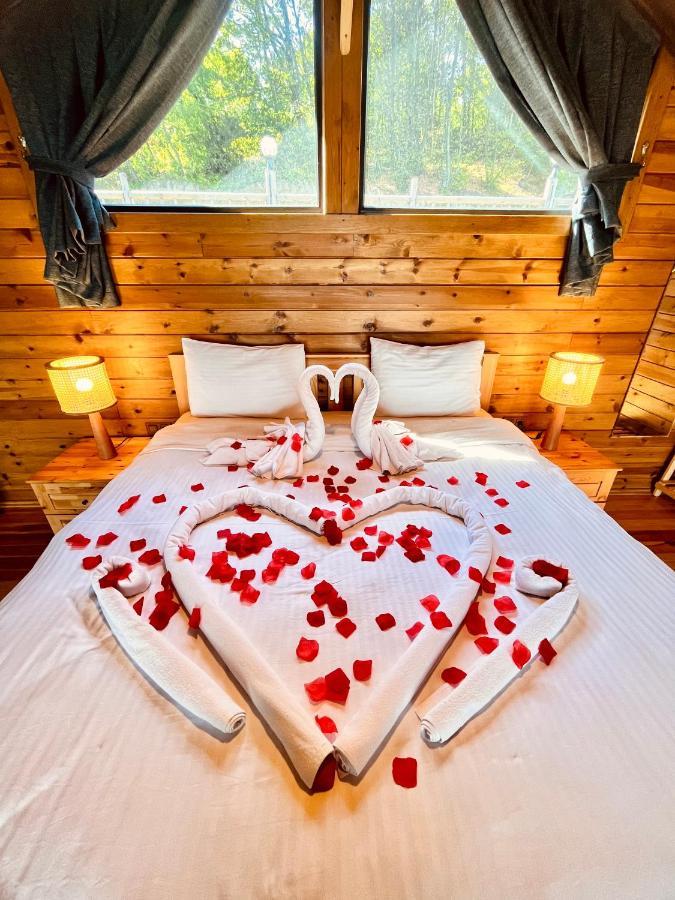 Woodlodge Country 사판자 외부 사진